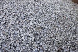 Küünlaümbriste jahi tulemused