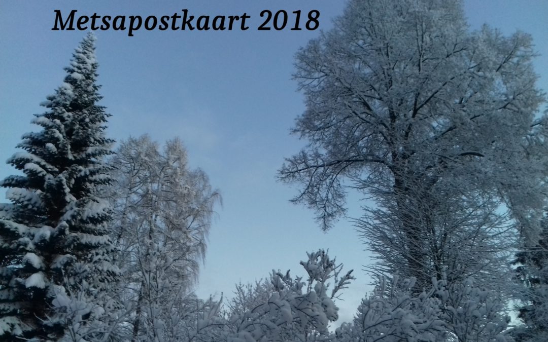 Eesti koolilaste metsapostkaart 2018