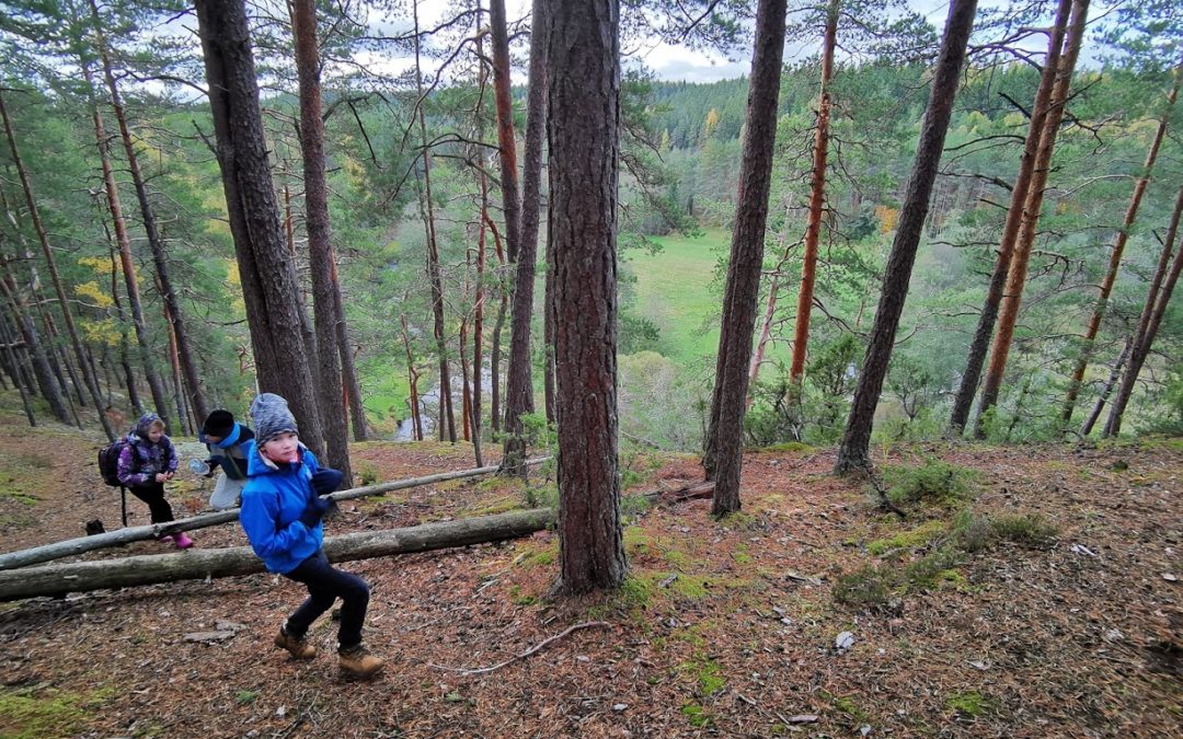 3. klassi jätkumatk “Lapsed metsa”